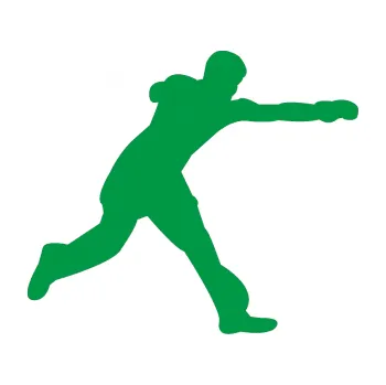 Polep vozidla Karate 004 pravá (12 - zelená) SAMOLEPKA NA AUTO, NÁLEPKA, FÓLIE, POLEP, TUNING, VLASTNÍ TEXT, TISK, AUTOSAMOLEPKY.cz, POLEPY, OBRÁZEK, LOGO, 3D STICKERS