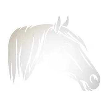 Samolepící dekorace SAMOLEPKA Kůň 065 pravá hlava s hřívou (82 - odrazková reflexní bílá) NA AUTO, NÁLEPKA, FÓLIE, POLEP, TUNING, VLASTNÍ TEXT, TISK, AUTOSAMOLEPKY.cz, POLEPY, OBRÁZEK, LOGO, SAMOLEPKY