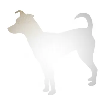 Polep vozidla SAMOLEPKA Pes 100 levá Pražský krysařík (82 - odrazková reflexní bílá) NA AUTO, NÁLEPKA, FÓLIE, POLEP, TUNING, VLASTNÍ TEXT, TISK, AUTOSAMOLEPKY.cz, POLEPY, OBRÁZEK, LOGO, SAMOLEPKY