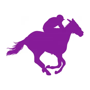 Samolepící dekorace Kůň 035 pravá (14 - fialová) SAMOLEPKA NA AUTO, NÁLEPKA, FÓLIE, POLEP, TUNING, VLASTNÍ TEXT, TISK, AUTOSAMOLEPKY.cz, POLEPY, OBRÁZEK, LOGO, 3D STICKERS