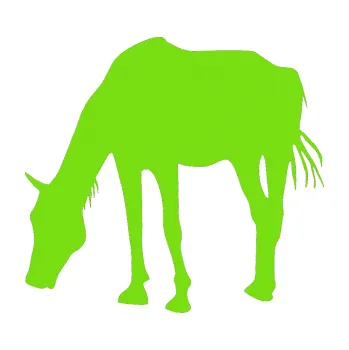 Samolepící dekorace Kůň 008 levá (04 - zelená kawasaki) SAMOLEPKA NA AUTO, NÁLEPKA, FÓLIE, POLEP, TUNING, VLASTNÍ TEXT, TISK, AUTOSAMOLEPKY.cz, POLEPY, OBRÁZEK, LOGO, 3D STICKERS