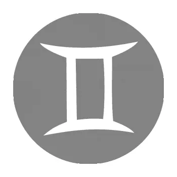 Samolepící dekorace Blíženci 001 - horoskop (17 - šedá) SAMOLEPKA NA AUTO, NÁLEPKA, FÓLIE, POLEP, TUNING, VLASTNÍ TEXT, TISK, AUTOSAMOLEPKY.cz, POLEPY, OBRÁZEK, LOGO, 3D STICKERS