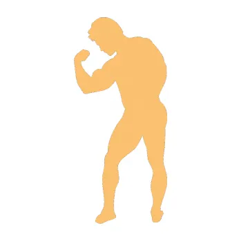 Polep vozidla Kulturista 005 levá (08 - béžová) SAMOLEPKA NA AUTO, NÁLEPKA, FÓLIE, POLEP, TUNING, VLASTNÍ TEXT, TISK, AUTOSAMOLEPKY.cz, POLEPY, OBRÁZEK, LOGO, 3D STICKERS