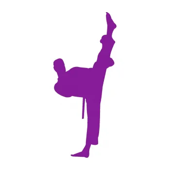 Polep vozidla Karate 005 pravá (14 - fialová) SAMOLEPKA NA AUTO, NÁLEPKA, FÓLIE, POLEP, TUNING, VLASTNÍ TEXT, TISK, AUTOSAMOLEPKY.cz, POLEPY, OBRÁZEK, LOGO, 3D STICKERS