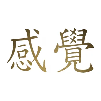 Polep vozidla SAMOLEPKA Čínský znak Feeling (64 - škrábaný kov zlatý) NA AUTO, NÁLEPKA, FÓLIE, POLEP, TUNING, VLASTNÍ TEXT, TISK, AUTOSAMOLEPKY.cz, POLEPY, OBRÁZEK, LOGO, SAMOLEPKY