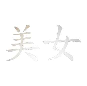 Polep vozidla SAMOLEPKA Čínský znak Prettywoman (82 - odrazková reflexní bílá) NA AUTO, NÁLEPKA, FÓLIE, POLEP, TUNING, VLASTNÍ TEXT, TISK, AUTOSAMOLEPKY.cz, POLEPY, OBRÁZEK, LOGO, SAMOLEPKY