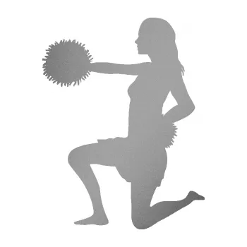 Samolepicí dekorace na vozidlo Roztleskávačka 002 levá (42 - stříbrná metalíza) SAMOLEPKA NA AUTO, NÁLEPKA, FÓLIE, POLEP, TUNING, VLASTNÍ TEXT, TISK, AUTOSAMOLEPKY.cz, POLEPY, OBRÁZEK, LOGO, 3D STICKERS