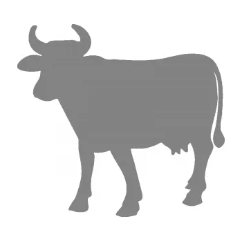 Samolepící dekorace SAMOLEPKA Kráva 002 levá (17 - šedá) NA AUTO, NÁLEPKA, FÓLIE, POLEP, TUNING, VLASTNÍ TEXT, TISK, AUTOSAMOLEPKY.cz, POLEPY, OBRÁZEK, LOGO, SAMOLEPKY