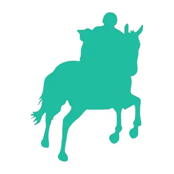 Samolepící dekorace Kůň 021 pravá s jezdcem (25 - tyrkysová) SAMOLEPKA NA AUTO, NÁLEPKA, FÓLIE, POLEP, TUNING, VLASTNÍ TEXT, TISK, AUTOSAMOLEPKY.cz, POLEPY, OBRÁZEK, LOGO, 3D STICKERS