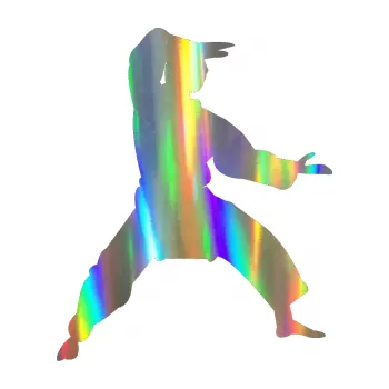 Polep vozidla SAMOLEPKA Karate 006 pravá (93 - Holografická) NA AUTO, NÁLEPKA, FÓLIE, POLEP, TUNING, VLASTNÍ TEXT, TISK, AUTOSAMOLEPKY.cz, POLEPY, OBRÁZEK, LOGO, SAMOLEPKY