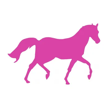 Samolepící dekorace Kůň 003 pravá (16 - růžová) SAMOLEPKA NA AUTO, NÁLEPKA, FÓLIE, POLEP, TUNING, VLASTNÍ TEXT, TISK, AUTOSAMOLEPKY.cz, POLEPY, OBRÁZEK, LOGO, 3D STICKERS