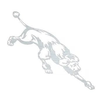 samolepka Pes 022 pravá Pudl (61 - škrábaný hliník) SAMOLEPKA NA AUTO, NÁLEPKA, FÓLIE, POLEP, TUNING, VLASTNÍ TEXT, TISK, AUTOSAMOLEPKY.cz, POLEPY, OBRÁZEK, LOGO, 3D STICKERS