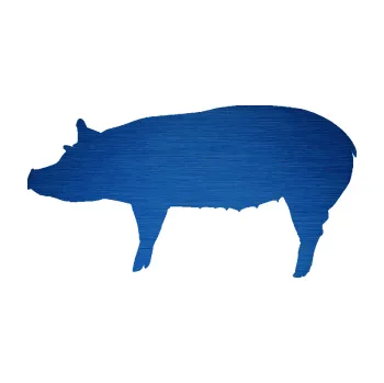 Samolepící dekorace SAMOLEPKA Prase 002 levá (65 - škrábaný kov modrý) NA AUTO, NÁLEPKA, FÓLIE, POLEP, TUNING, VLASTNÍ TEXT, TISK, AUTOSAMOLEPKY.cz, POLEPY, OBRÁZEK, LOGO, SAMOLEPKY