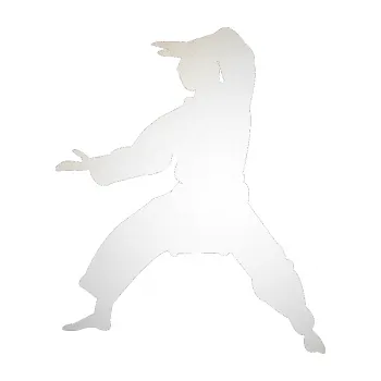 Polep vozidla SAMOLEPKA Karate 006 levá (82 - odrazková reflexní bílá) NA AUTO, NÁLEPKA, FÓLIE, POLEP, TUNING, VLASTNÍ TEXT, TISK, AUTOSAMOLEPKY.cz, POLEPY, OBRÁZEK, LOGO, SAMOLEPKY