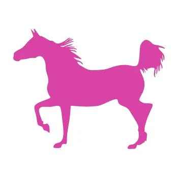 Samolepící dekorace Kůň 009 levá (16 - růžová) SAMOLEPKA NA AUTO, NÁLEPKA, FÓLIE, POLEP, TUNING, VLASTNÍ TEXT, TISK, AUTOSAMOLEPKY.cz, POLEPY, OBRÁZEK, LOGO, 3D STICKERS