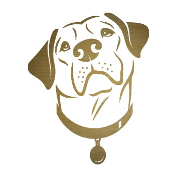 Polep vozidla SAMOLEPKA Pes 119 levá Labrador (64 - škrábaný kov zlatý) NA AUTO, NÁLEPKA, FÓLIE, POLEP, TUNING, VLASTNÍ TEXT, TISK, AUTOSAMOLEPKY.cz, POLEPY, OBRÁZEK, LOGO, SAMOLEPKY