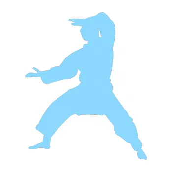 Polep vozidla Karate 006 levá (03 - světle modrá) SAMOLEPKA NA AUTO, NÁLEPKA, FÓLIE, POLEP, TUNING, VLASTNÍ TEXT, TISK, AUTOSAMOLEPKY.cz, POLEPY, OBRÁZEK, LOGO, 3D STICKERS