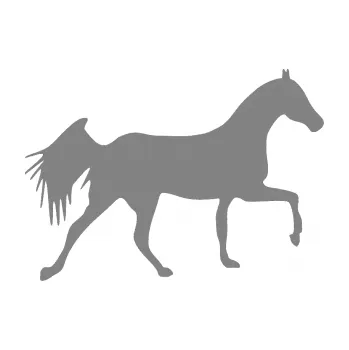 Samolepící dekorace SAMOLEPKA Kůň 001 pravá (17 - šedá) NA AUTO, NÁLEPKA, FÓLIE, POLEP, TUNING, VLASTNÍ TEXT, TISK, AUTOSAMOLEPKY.cz, POLEPY, OBRÁZEK, LOGO, SAMOLEPKY