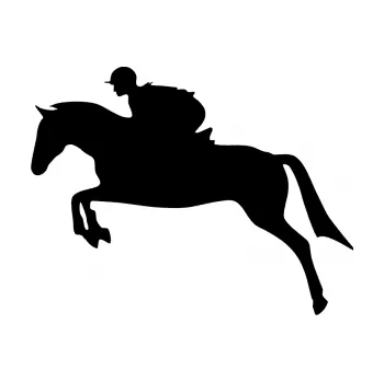 Samolepící dekorace SAMOLEPKA Kůň 020 levá skok s jezdcem (01 - černá) NA AUTO, NÁLEPKA, FÓLIE, POLEP, TUNING, VLASTNÍ TEXT, TISK, AUTOSAMOLEPKY.cz, POLEPY, OBRÁZEK, LOGO, SAMOLEPKY