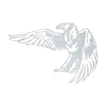 Samolepicí dekorace na vozidlo Predators 030 levá (61 - škrábaný hliník) SAMOLEPKA NA AUTO, NÁLEPKA, FÓLIE, POLEP, TUNING, VLASTNÍ TEXT, TISK, AUTOSAMOLEPKY.cz, POLEPY, OBRÁZEK, LOGO, 3D STICKERS