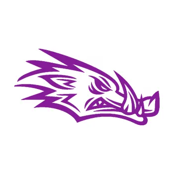 Samolepící dekorace Divoké prase 002 pravá kanec hlava (14 - fialová) SAMOLEPKA NA AUTO, NÁLEPKA, FÓLIE, POLEP, TUNING, VLASTNÍ TEXT, TISK, AUTOSAMOLEPKY.cz, POLEPY, OBRÁZEK, LOGO, 3D STICKERS