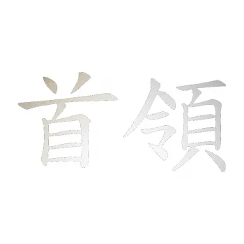 Polep vozidla SAMOLEPKA Čínský znak Cheif (82 - odrazková reflexní bílá) NA AUTO, NÁLEPKA, FÓLIE, POLEP, TUNING, VLASTNÍ TEXT, TISK, AUTOSAMOLEPKY.cz, POLEPY, OBRÁZEK, LOGO, SAMOLEPKY