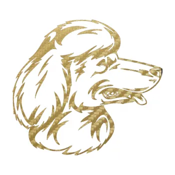 samolepka Pes 013 pravá Pudl (59 - 3D karbon zlatý) SAMOLEPKA NA AUTO, NÁLEPKA, FÓLIE, POLEP, TUNING, VLASTNÍ TEXT, TISK, AUTOSAMOLEPKY.cz, POLEPY, OBRÁZEK, LOGO, 3D STICKERS