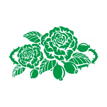 Samolepící dekorace Interiér 004 pravá růže šípková (12 - zelená) SAMOLEPKA NA AUTO, NÁLEPKA, FÓLIE, POLEP, TUNING, VLASTNÍ TEXT, TISK, AUTOSAMOLEPKY.cz, POLEPY, OBRÁZEK, LOGO, 3D STICKERS