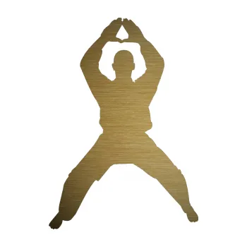 Polep vozidla SAMOLEPKA Karate 003 levá (64 - škrábaný kov zlatý) NA AUTO, NÁLEPKA, FÓLIE, POLEP, TUNING, VLASTNÍ TEXT, TISK, AUTOSAMOLEPKY.cz, POLEPY, OBRÁZEK, LOGO, SAMOLEPKY