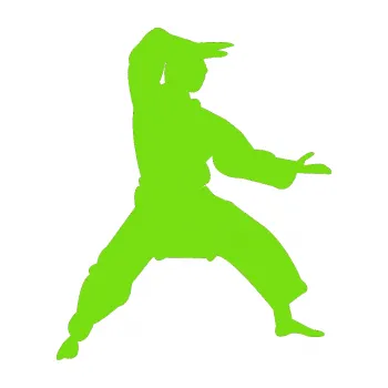 Polep vozidla Karate 006 pravá (04 - zelená kawasaki) SAMOLEPKA NA AUTO, NÁLEPKA, FÓLIE, POLEP, TUNING, VLASTNÍ TEXT, TISK, AUTOSAMOLEPKY.cz, POLEPY, OBRÁZEK, LOGO, 3D STICKERS