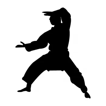 Polep vozidla Karate 006 levá (01 - černá) SAMOLEPKA NA AUTO, NÁLEPKA, FÓLIE, POLEP, TUNING, VLASTNÍ TEXT, TISK, AUTOSAMOLEPKY.cz, POLEPY, OBRÁZEK, LOGO, 3D STICKERS