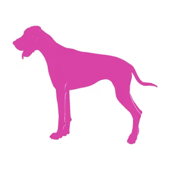 Polep vozidla SAMOLEPKA Pes 086 levá Doga (16 - růžová) NA AUTO, NÁLEPKA, FÓLIE, POLEP, TUNING, VLASTNÍ TEXT, TISK, AUTOSAMOLEPKY.cz, POLEPY, OBRÁZEK, LOGO, SAMOLEPKY