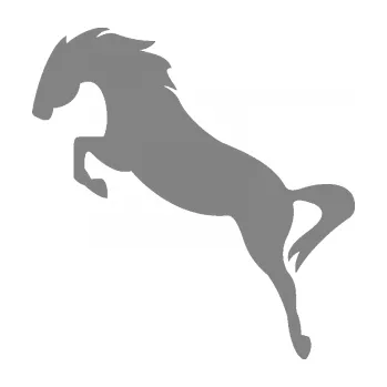 Samolepící dekorace SAMOLEPKA Kůň 072 levá skok (17 - šedá) NA AUTO, NÁLEPKA, FÓLIE, POLEP, TUNING, VLASTNÍ TEXT, TISK, AUTOSAMOLEPKY.cz, POLEPY, OBRÁZEK, LOGO, SAMOLEPKY