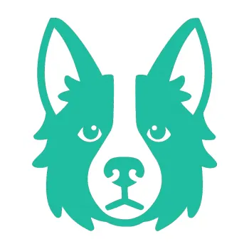 Polep vozidla Pes 068 Border kolie (25 - tyrkysová) SAMOLEPKA NA AUTO, NÁLEPKA, FÓLIE, POLEP, TUNING, VLASTNÍ TEXT, TISK, AUTOSAMOLEPKY.cz, POLEPY, OBRÁZEK, LOGO, 3D STICKERS