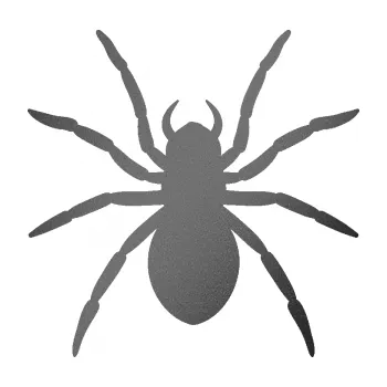 Samolepící dekorace Pavouk 015 (41 - grafitová metalíza) SAMOLEPKA NA AUTO, NÁLEPKA, FÓLIE, POLEP, TUNING, VLASTNÍ TEXT, TISK, AUTOSAMOLEPKY.cz, POLEPY, OBRÁZEK, LOGO, 3D STICKERS