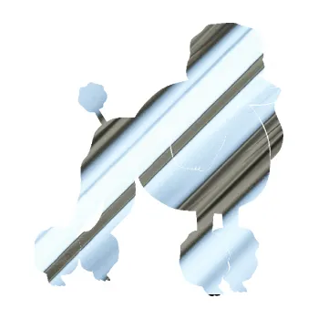 Polep vozidla SAMOLEPKA Pes 092 pravá Pudl (80 - chrom fólie stříbrná zrcadlová) NA AUTO, NÁLEPKA, FÓLIE, POLEP, TUNING, VLASTNÍ TEXT, TISK, AUTOSAMOLEPKY.cz, POLEPY, OBRÁZEK, LOGO, SAMOLEPKY