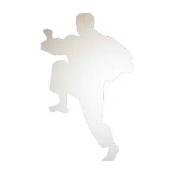 Polep vozidla SAMOLEPKA Karate 007 levá (82 - odrazková reflexní bílá) NA AUTO, NÁLEPKA, FÓLIE, POLEP, TUNING, VLASTNÍ TEXT, TISK, AUTOSAMOLEPKY.cz, POLEPY, OBRÁZEK, LOGO, SAMOLEPKY