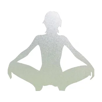 Polep vozidla Erotická žena 003 levá (60 - pískované sklo) SAMOLEPKA NA AUTO, NÁLEPKA, FÓLIE, POLEP, TUNING, VLASTNÍ TEXT, TISK, AUTOSAMOLEPKY.cz, POLEPY, OBRÁZEK, LOGO, 3D STICKERS