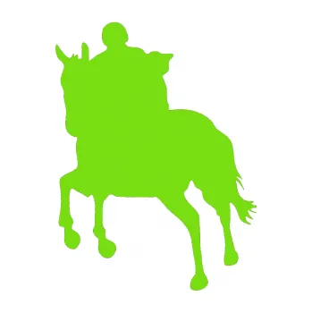 Samolepící dekorace Kůň 021 levá s jezdcem (04 - zelená kawasaki) SAMOLEPKA NA AUTO, NÁLEPKA, FÓLIE, POLEP, TUNING, VLASTNÍ TEXT, TISK, AUTOSAMOLEPKY.cz, POLEPY, OBRÁZEK, LOGO, 3D STICKERS