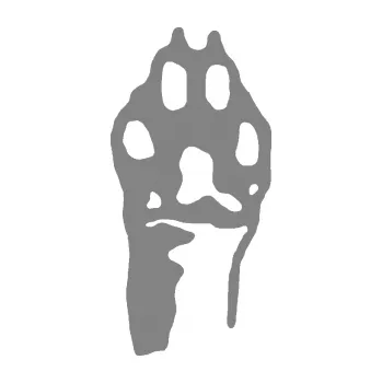 samolepka Packa 001 pravá (17 - šedá) SAMOLEPKA NA AUTO, NÁLEPKA, FÓLIE, POLEP, TUNING, VLASTNÍ TEXT, TISK, AUTOSAMOLEPKY.cz, POLEPY, OBRÁZEK, LOGO, 3D STICKERS