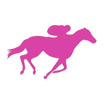 Samolepící dekorace SAMOLEPKA Kůň 027 pravá závodí s jezdcem (16 - růžová) NA AUTO, NÁLEPKA, FÓLIE, POLEP, TUNING, VLASTNÍ TEXT, TISK, AUTOSAMOLEPKY.cz, POLEPY, OBRÁZEK, LOGO, SAMOLEPKY