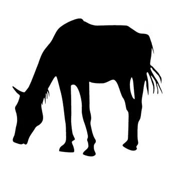 Samolepící dekorace SAMOLEPKA Kůň 008 levá (01 - černá) NA AUTO, NÁLEPKA, FÓLIE, POLEP, TUNING, VLASTNÍ TEXT, TISK, AUTOSAMOLEPKY.cz, POLEPY, OBRÁZEK, LOGO, SAMOLEPKY