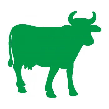 Samolepící dekorace Kráva 002 pravá (12 - zelená) SAMOLEPKA NA AUTO, NÁLEPKA, FÓLIE, POLEP, TUNING, VLASTNÍ TEXT, TISK, AUTOSAMOLEPKY.cz, POLEPY, OBRÁZEK, LOGO, 3D STICKERS