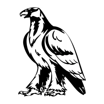 Samolepicí dekorace na vozidlo Predators 040 levá orel (01 - černá) SAMOLEPKA NA AUTO, NÁLEPKA, FÓLIE, POLEP, TUNING, VLASTNÍ TEXT, TISK, AUTOSAMOLEPKY.cz, POLEPY, OBRÁZEK, LOGO, 3D STICKERS