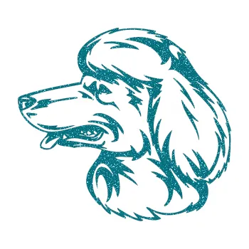 Polep vozidla SAMOLEPKA Pes 013 levá Pudl (92 - Ultra Metalic tyrkysová) NA AUTO, NÁLEPKA, FÓLIE, POLEP, TUNING, VLASTNÍ TEXT, TISK, AUTOSAMOLEPKY.cz, POLEPY, OBRÁZEK, LOGO, SAMOLEPKY