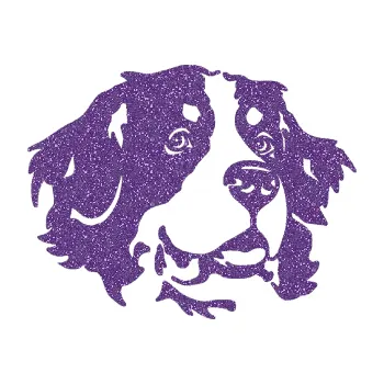 Polep vozidla SAMOLEPKA Pes 131 pravá bernský salašnický pes (87 - Ultra Metalic fialová) NA AUTO, NÁLEPKA, FÓLIE, POLEP, TUNING, VLASTNÍ TEXT, TISK, AUTOSAMOLEPKY.cz, POLEPY, OBRÁZEK, LOGO, SAMOLEPKY