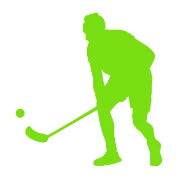 Samolepicí dekorace na vozidlo Florbal 002 levá (04 - zelená kawasaki) SAMOLEPKA NA AUTO, NÁLEPKA, FÓLIE, POLEP, TUNING, VLASTNÍ TEXT, TISK, AUTOSAMOLEPKY.cz, POLEPY, OBRÁZEK, LOGO, 3D STICKERS