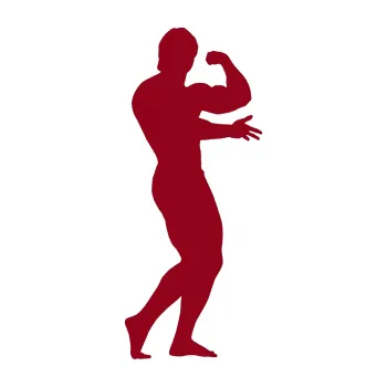 Polep vozidla Kulturista 001 pravá (07 - bordó vínová) SAMOLEPKA NA AUTO, NÁLEPKA, FÓLIE, POLEP, TUNING, VLASTNÍ TEXT, TISK, AUTOSAMOLEPKY.cz, POLEPY, OBRÁZEK, LOGO, 3D STICKERS