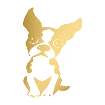 samolepka Pes 135 levá bostonský teriér (43 - zlatá metalíza) SAMOLEPKA NA AUTO, NÁLEPKA, FÓLIE, POLEP, TUNING, VLASTNÍ TEXT, TISK, AUTOSAMOLEPKY.cz, POLEPY, OBRÁZEK, LOGO, 3D STICKERS