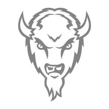 Samolepící dekorace SAMOLEPKA Buvol (17 - šedá) NA AUTO, NÁLEPKA, FÓLIE, POLEP, TUNING, VLASTNÍ TEXT, TISK, AUTOSAMOLEPKY.cz, POLEPY, OBRÁZEK, LOGO, SAMOLEPKY